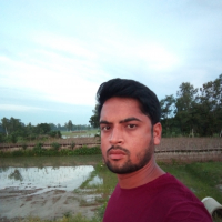 Md Motalleb