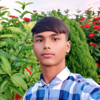 Md Almaun Islam
