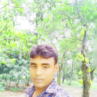  Md Rony Ahmed