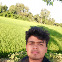 rayhanislam
