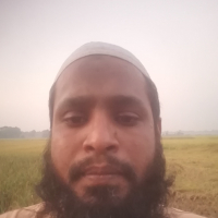 MD Saif Alom